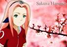 Sakura28